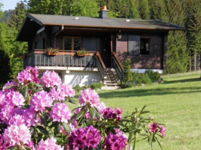 Chalet Ban-sur-Meurthe-Clefcy, 3 pièces, 4 personnes - FR-1-589-150